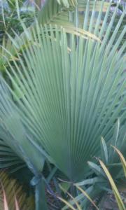 post-50-038047500 1316129901_thumb.jpg