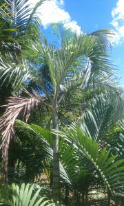 post-50-038503700 1317144179_thumb.jpg