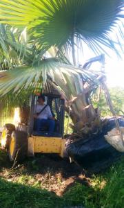 post-50-042172900 1315961273_thumb.jpg