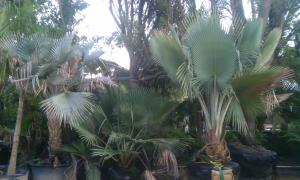 post-50-044432200 1316174065_thumb.jpg