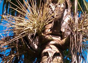 post-50-080807900 1322425818_thumb.jpg