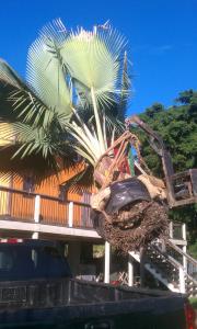 post-50-096431100 1315959500_thumb.jpg