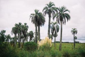 post-5026-027026000 1311820440_thumb.jpg