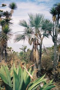 post-5026-064489900 1310872501_thumb.jpg