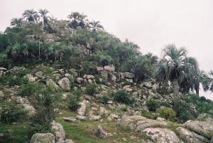 post-5026-077996500 1311819606_thumb.jpg