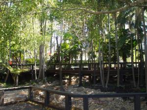 post-51-006376600 1316818257_thumb.jpg