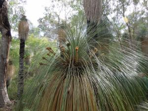 post-51-010688700 1339321784_thumb.jpg