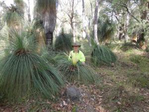 post-51-018496100 1339324800_thumb.jpg