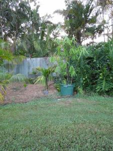 post-51-025589800 1328472413_thumb.jpg