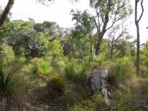 post-51-032292600 1339420625_thumb.jpg