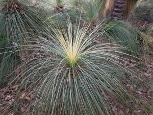 post-51-038501900 1339324778_thumb.jpg