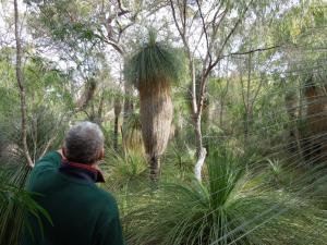 post-51-039988700 1339420216_thumb.jpg