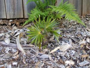 post-51-048341200 1314398427_thumb.jpg