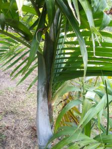 post-51-053006100 1323001244_thumb.jpg