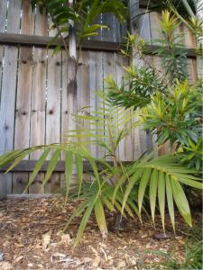 post-51-061058000 1314397904_thumb.jpg