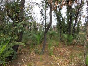 post-51-061084600 1339321589_thumb.jpg