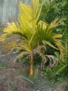 post-51-072709900 1311535844_thumb.jpg