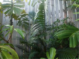 post-51-077971500 1314397866_thumb.jpg