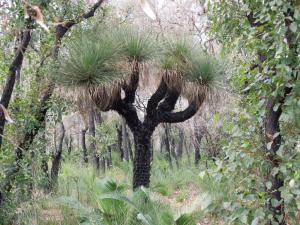 post-51-078516800 1339321547_thumb.jpg