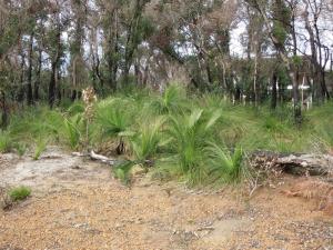 post-51-083513700 1339321652_thumb.jpg