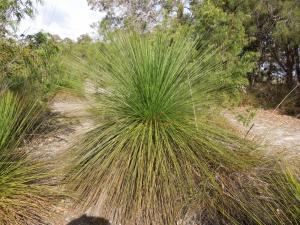 post-51-086505400 1339420674_thumb.jpg