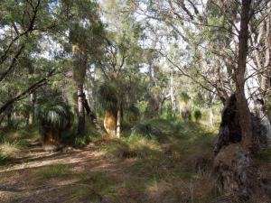 post-51-087640700 1339420606_thumb.jpg