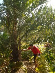 post-51-089914800 1314396914_thumb.jpg