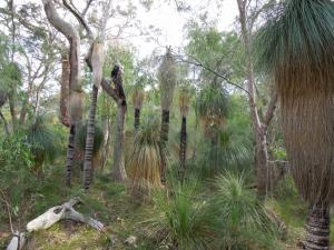 post-51-097475300 1339321492_thumb.jpg