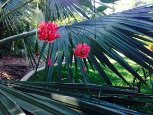 post-5111-0-72522100-1409979001_thumb.jp