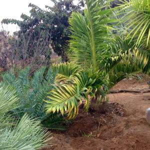 post-5111-0-91642400-1415766943_thumb.jp