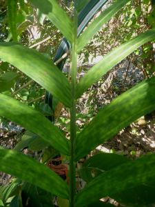 post-512-098316900 1312007935_thumb.jpg