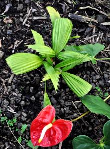 post-5220-0-07200500-1401232860_thumb.jp