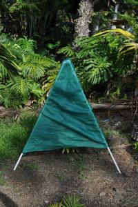 post-5220-0-55725000-1387181089_thumb.jp