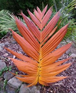 post-5220-0-85845100-1409660527_thumb.jp