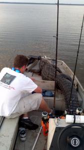 post-526-081168300 1313702315_thumb.jpg