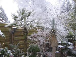 post-5270-056594500 1324052443_thumb.jpg