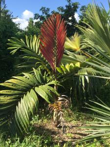 post-5491-0-01737300-1417804802_thumb.jp