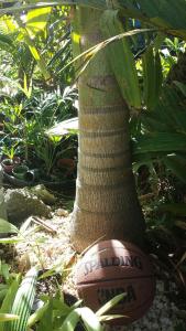 post-5491-0-03627000-1417806803_thumb.jp