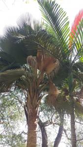 post-5491-0-09526600-1424977582_thumb.jp