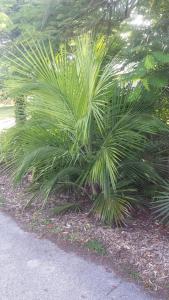 post-5491-0-14191900-1408712675_thumb.jp