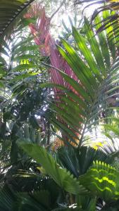 post-5491-0-21170000-1425649487_thumb.jp