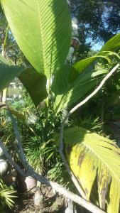 post-5491-0-21560000-1420645285_thumb.jp