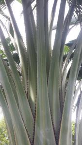 post-5491-0-24720300-1409838931_thumb.jp