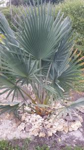 post-5491-0-27277900-1424977518_thumb.jp