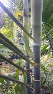 post-5491-0-42892500-1418996277_thumb.jp