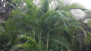 post-5491-0-43430900-1425915323_thumb.jp