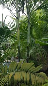 post-5491-0-48015100-1425915888_thumb.jp