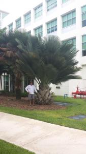 post-5491-0-48410400-1425047302_thumb.jp