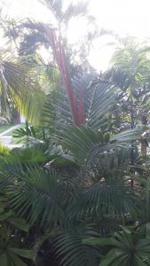 post-5491-0-52266600-1409663209_thumb.jp