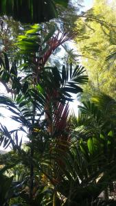 post-5491-0-53880100-1425650066_thumb.jp